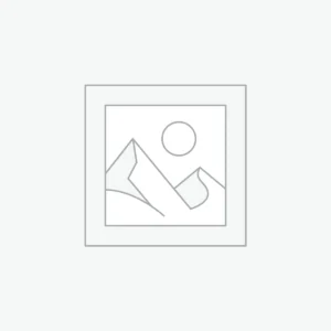 OLD GOOGLE VOICE (TEXT AND CALL)